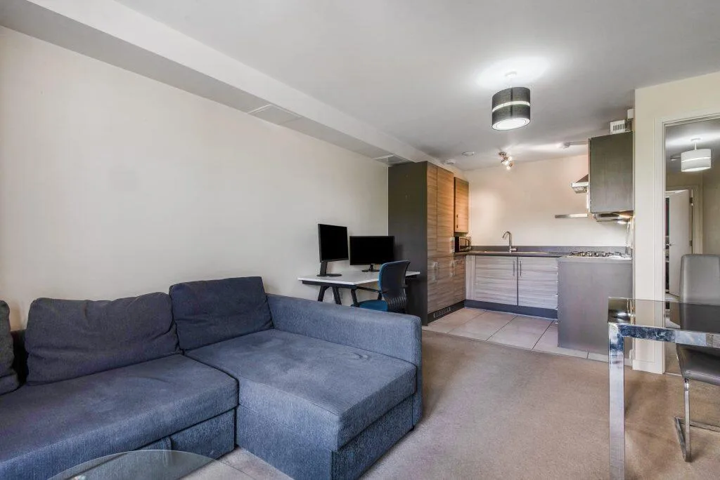 1 bedroom flat for rent