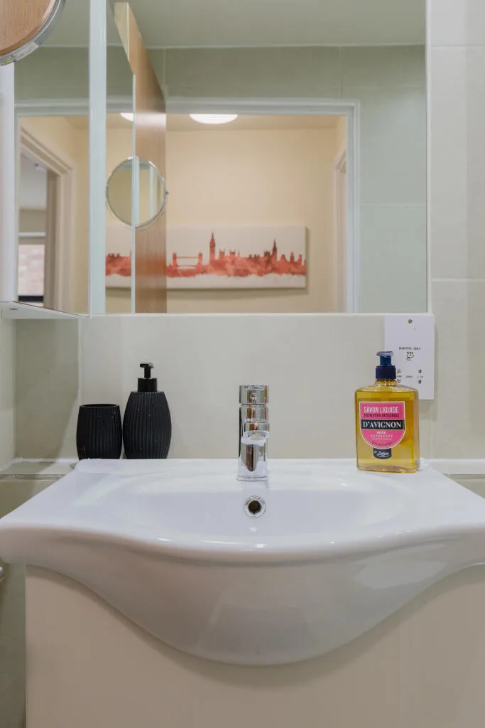 1 bedroom apartment for rent