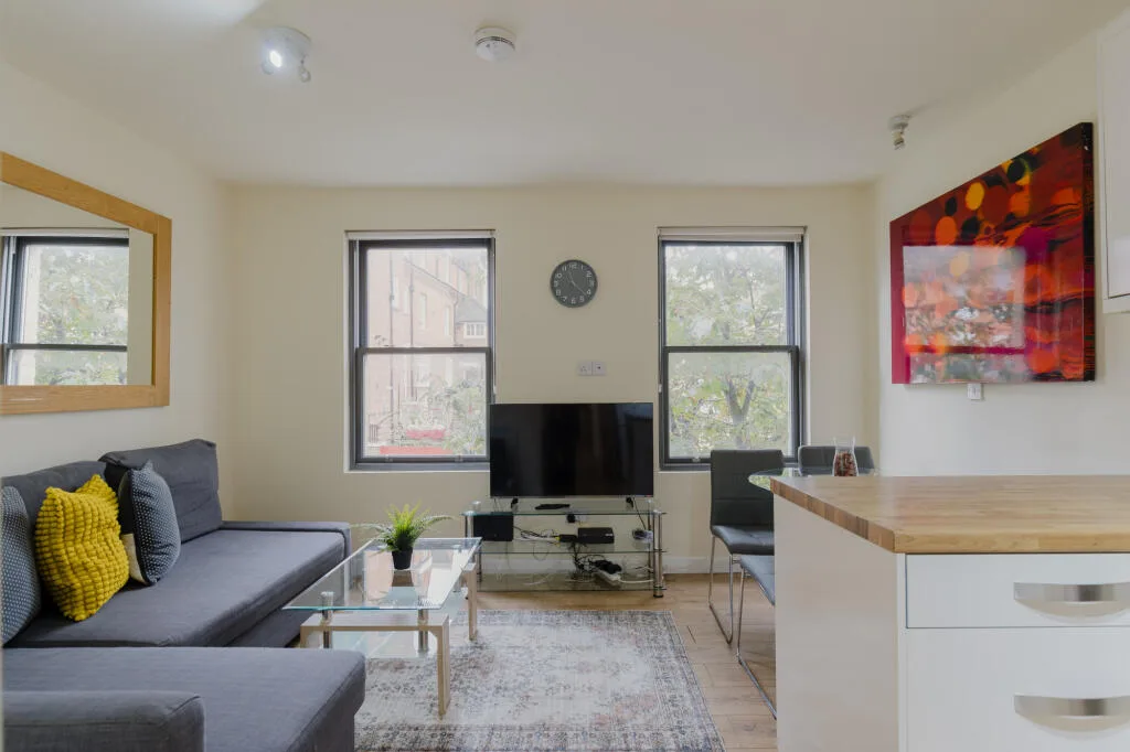 1 bedroom apartment for rent