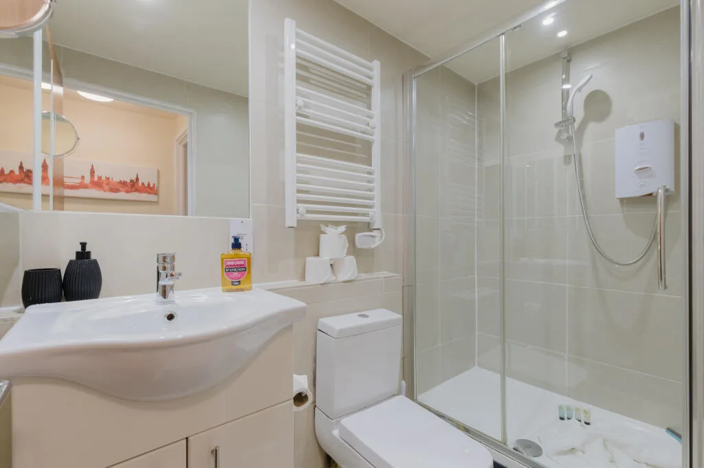 1 bedroom apartment for rent
