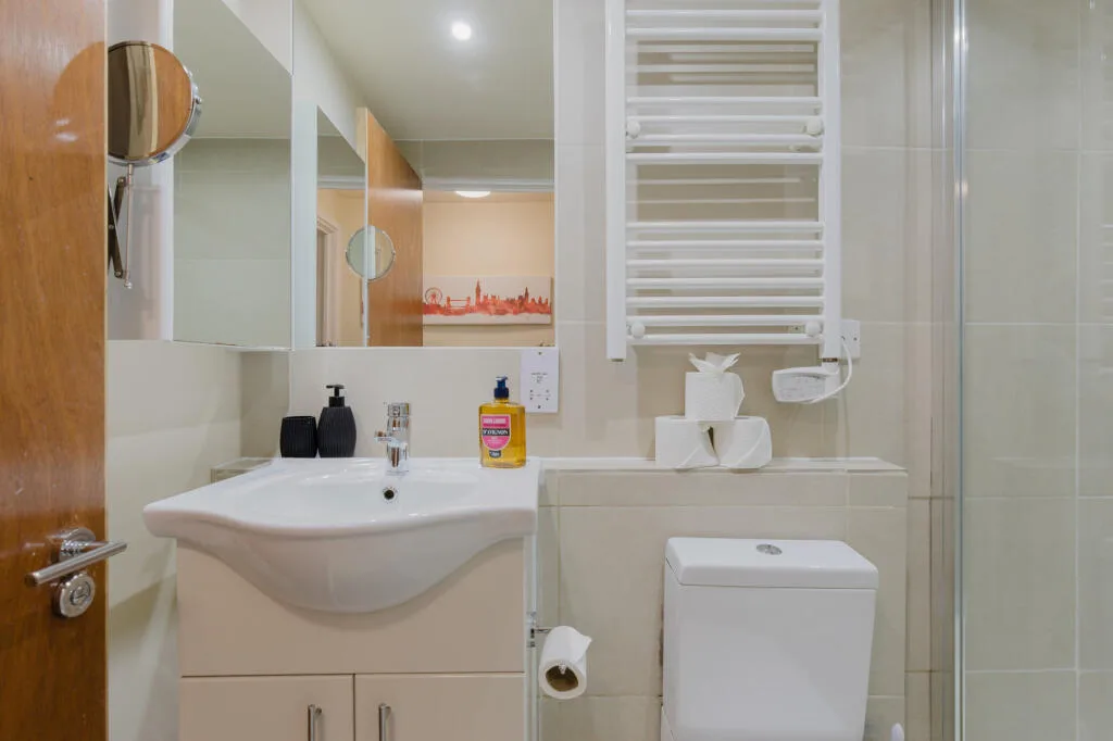 1 bedroom apartment for rent