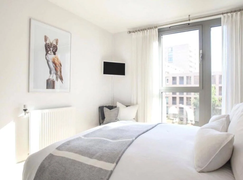 1 bedroom apartment for rent