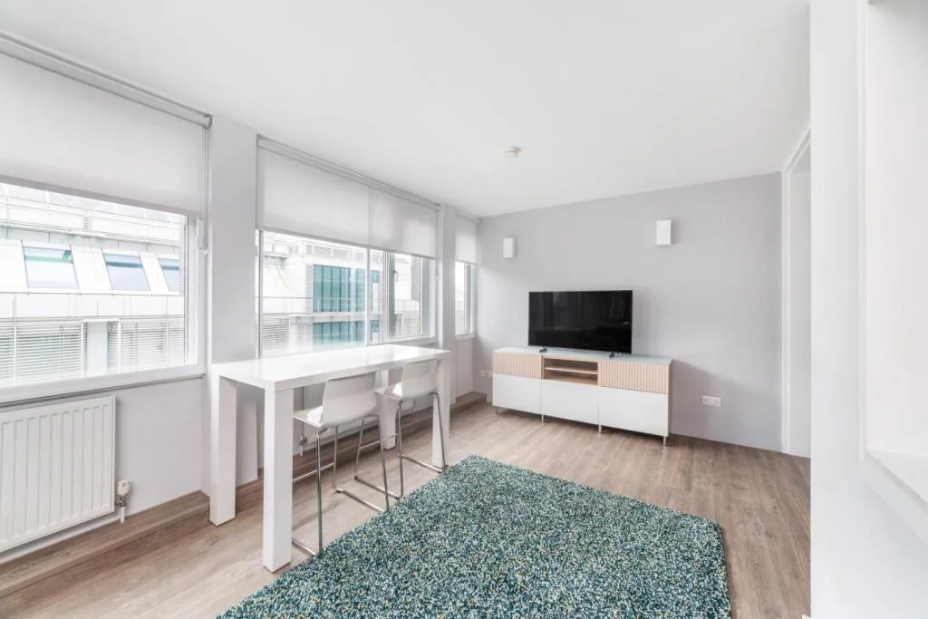 1 bedroom apartment for rent