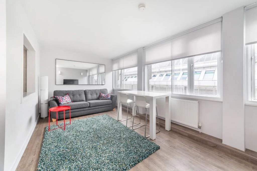 1 bedroom apartment for rent