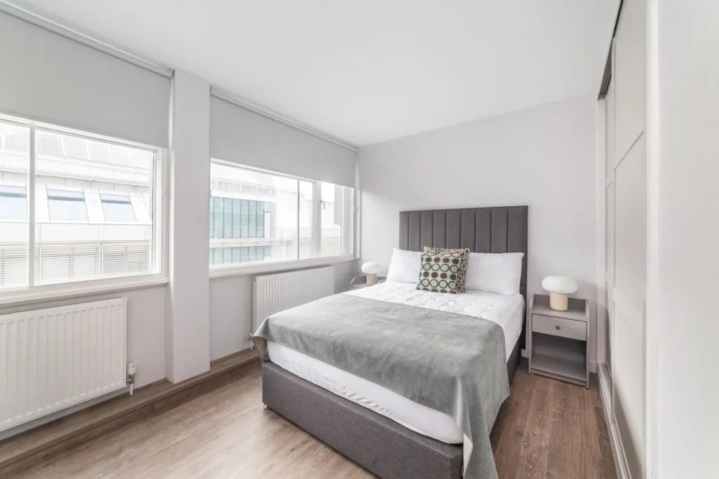 1 bedroom apartment for rent