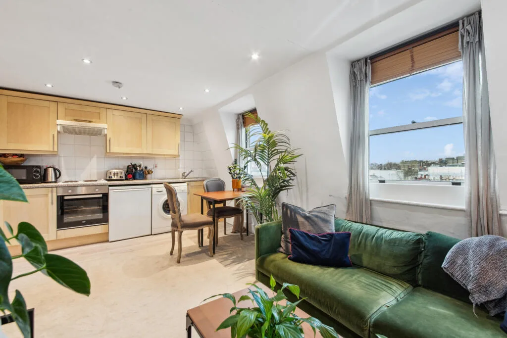 1 bedroom flat for rent