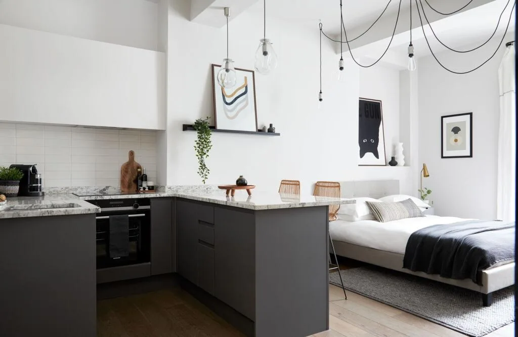 1 bedroom apartment for rent