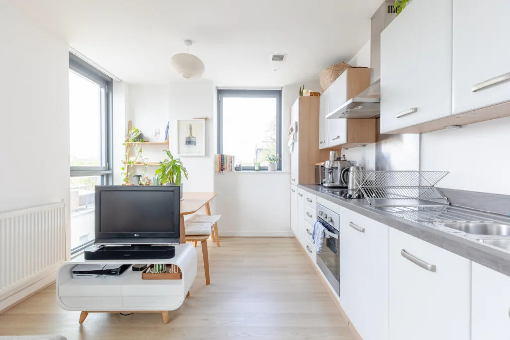 1 bedroom apartment for rent