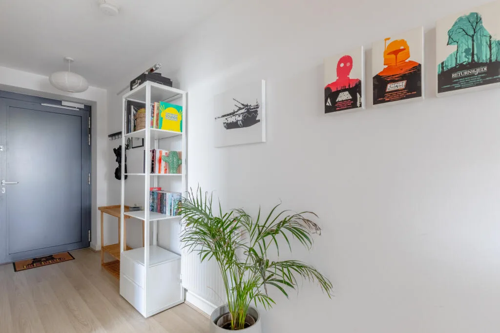 1 bedroom apartment for rent
