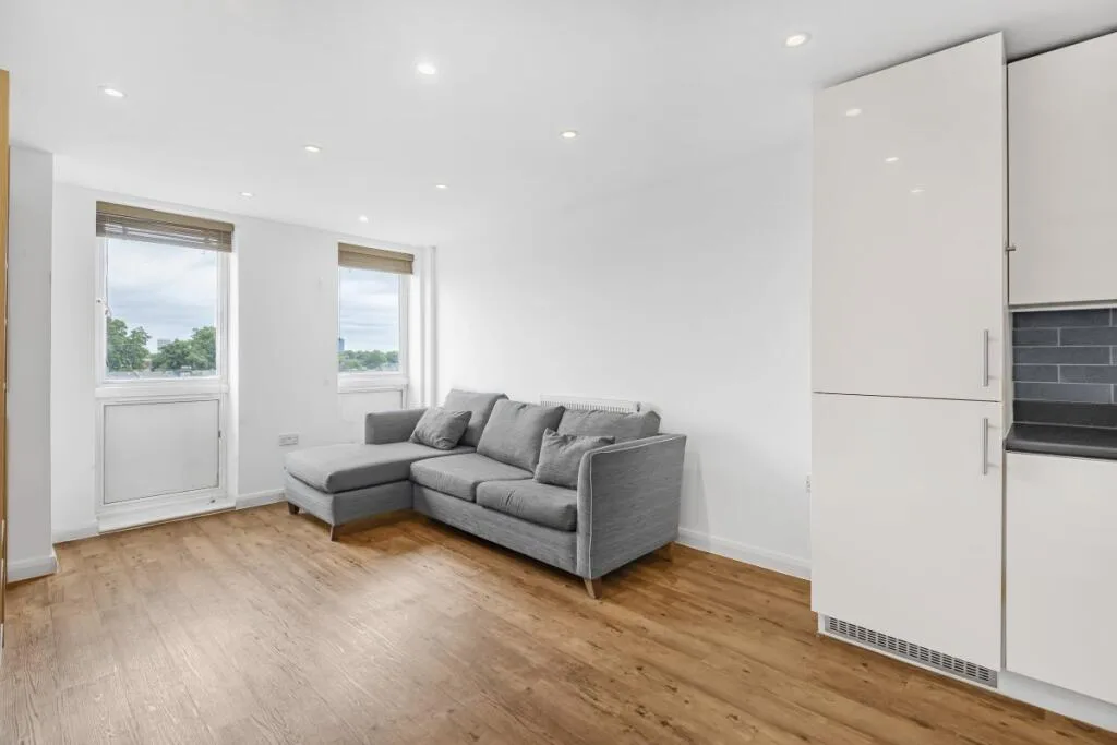1 bedroom flat for rent
