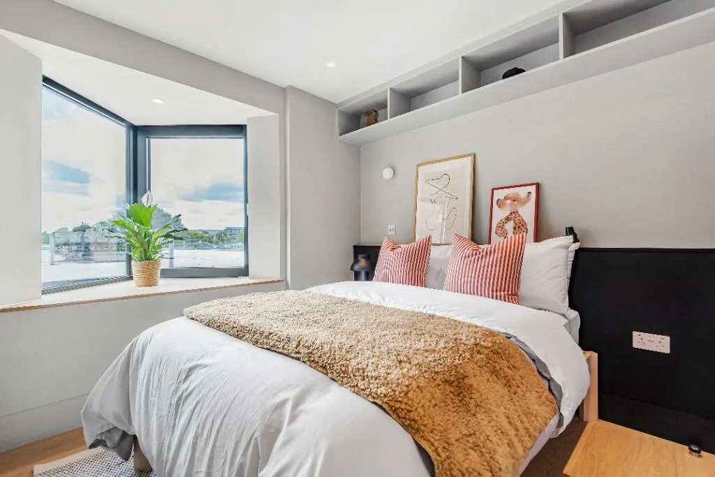 3 bedroom flat for rent