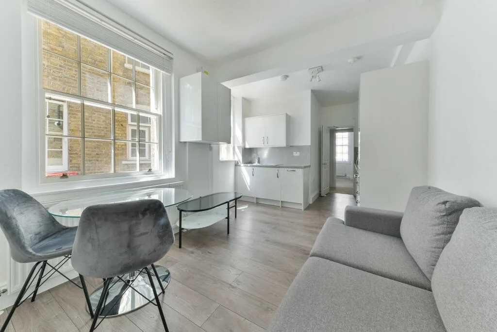 1 bedroom apartment for rent
