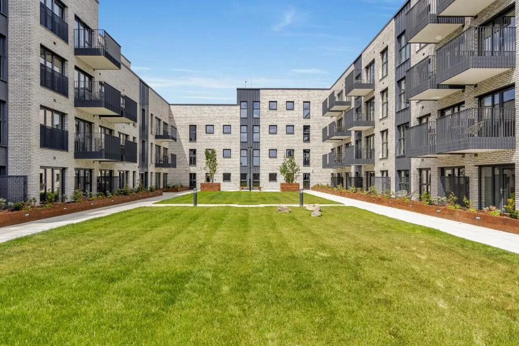 1 bedroom apartment for rent
