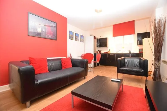 1 bedroom apartment for rent