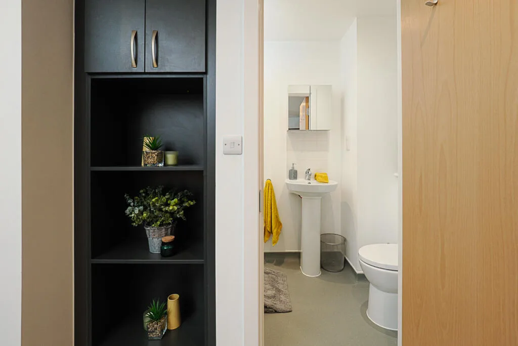 Studio flat for rent