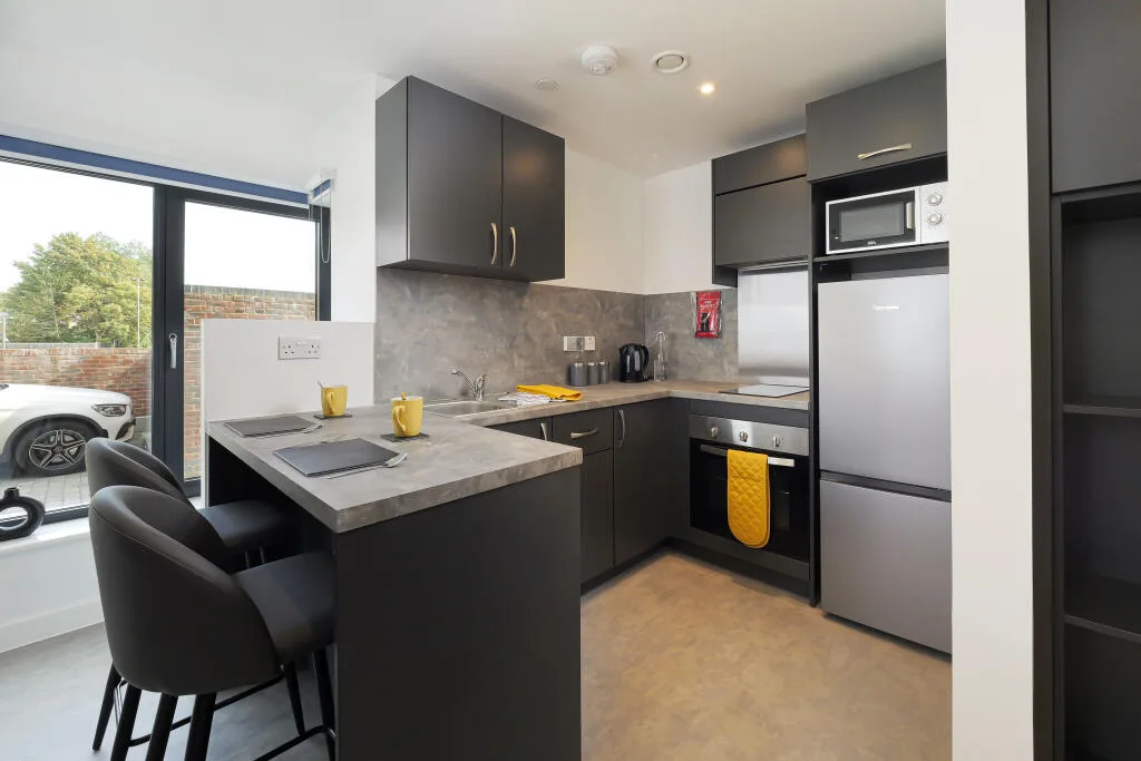 Studio flat for rent