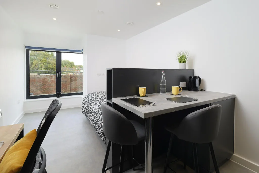 Studio flat for rent