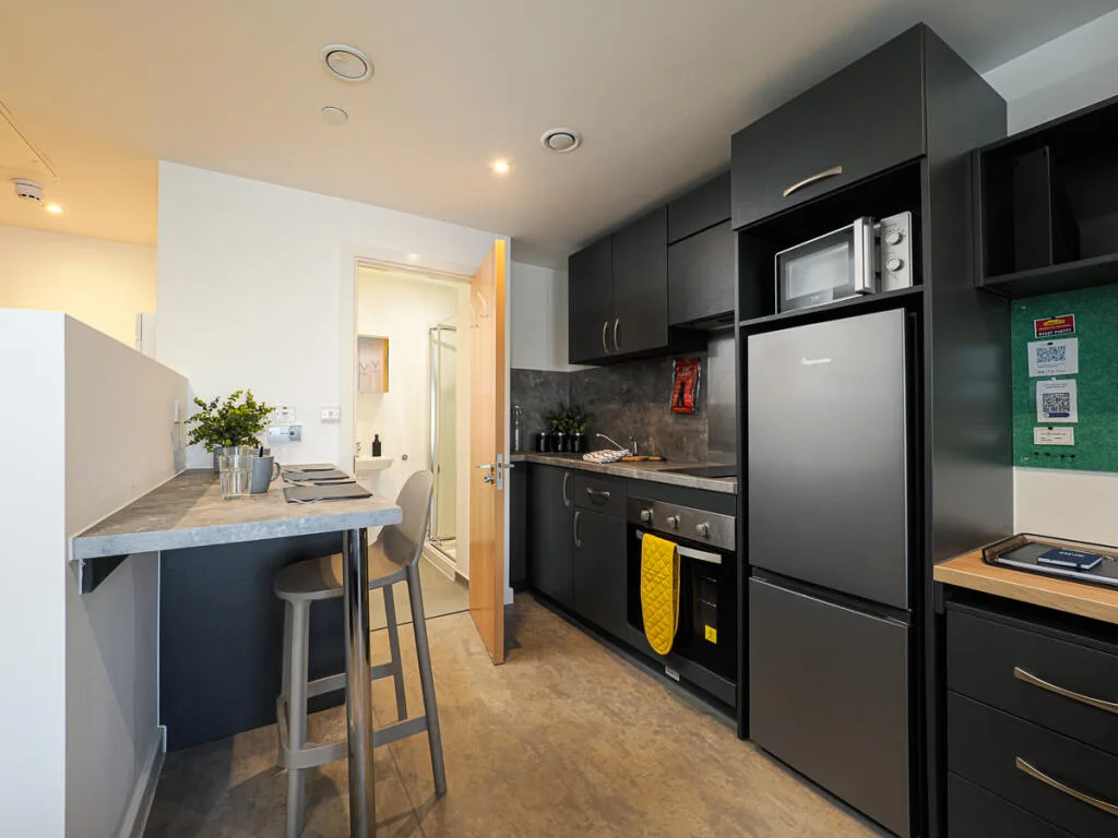 Studio flat for rent