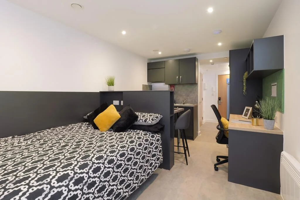 Studio flat for rent