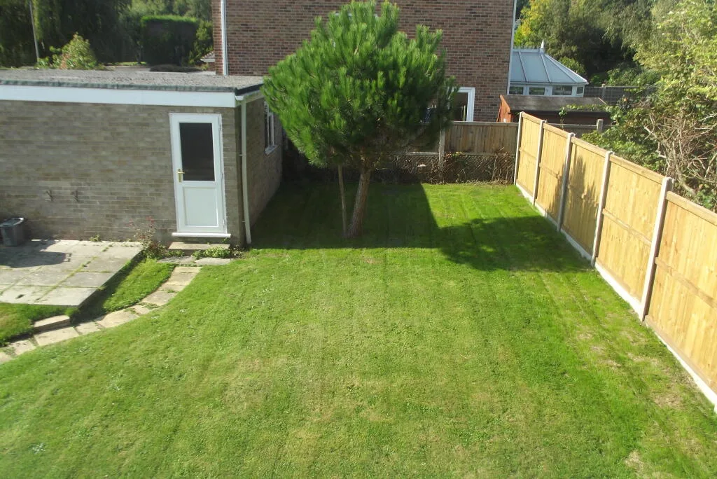 4 bedroom house for rent
