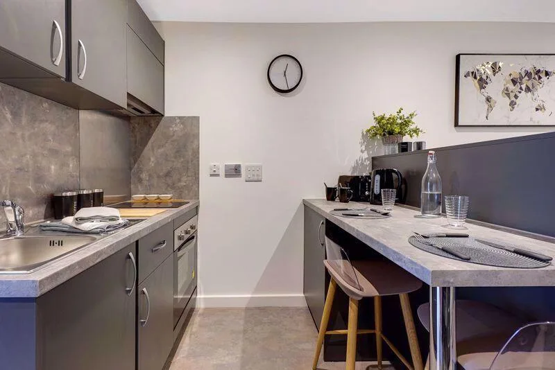 Studio flat for rent
