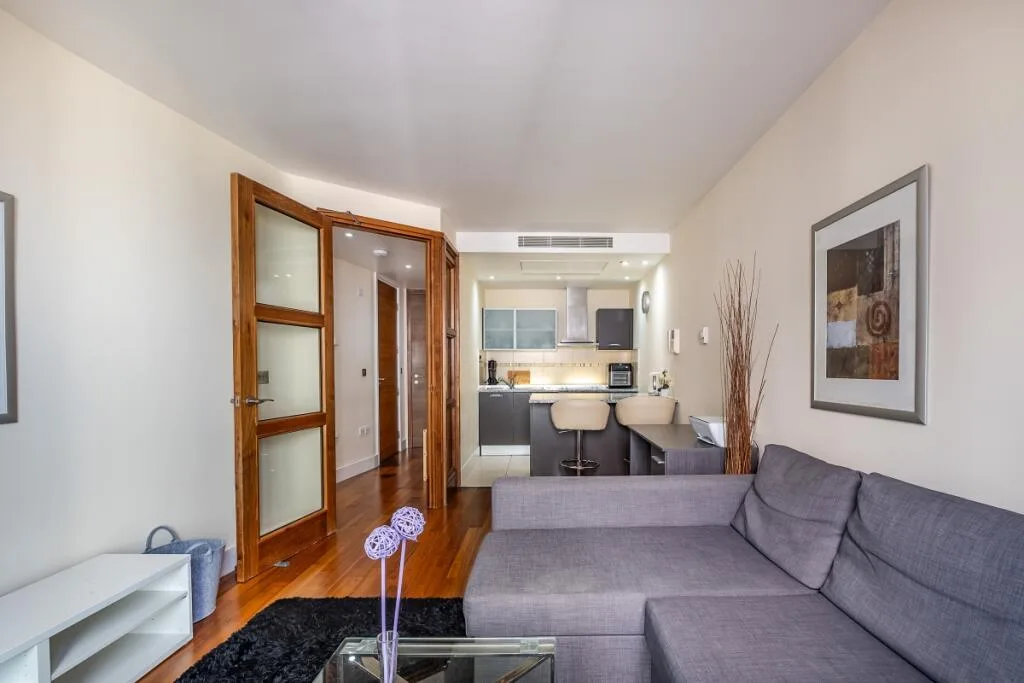 1 bedroom apartment for rent