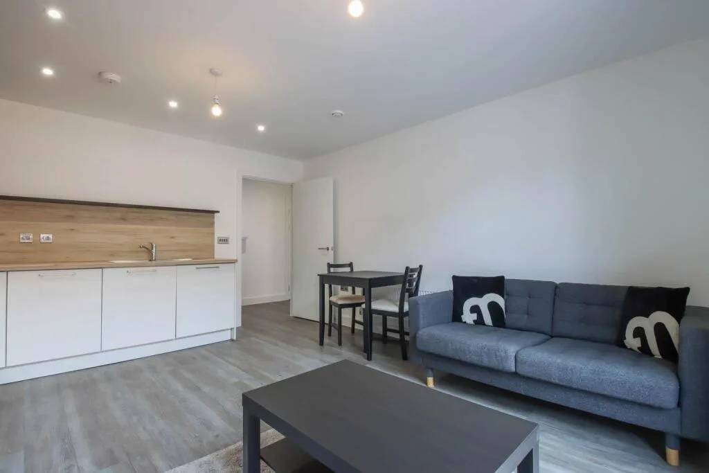 1 bedroom apartment for rent