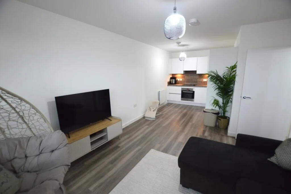 1 bedroom apartment for rent