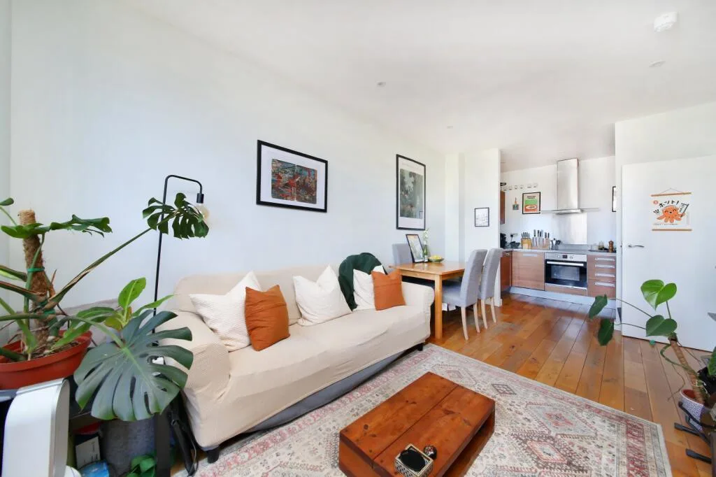 1 bedroom flat for rent