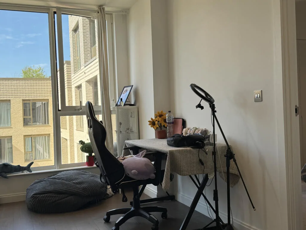 1 bedroom apartment for rent