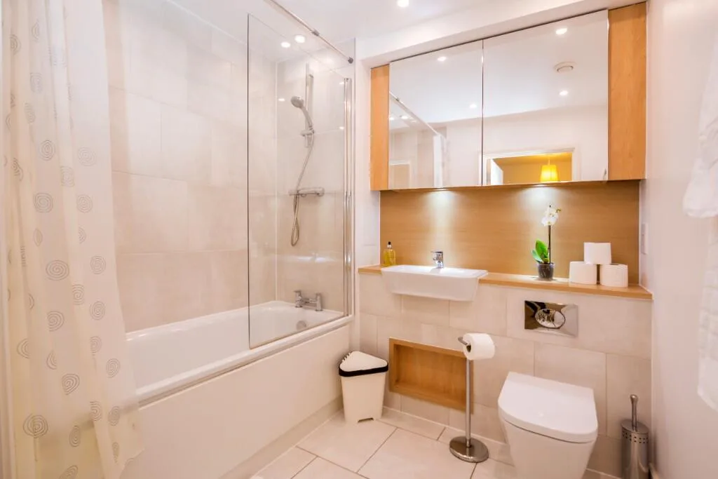 1 bedroom apartment for rent