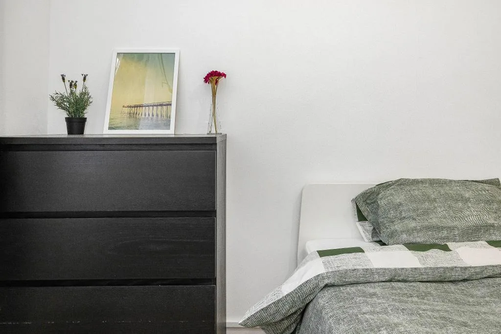 1 bedroom flat share for rent