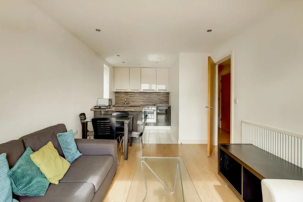 1 bedroom apartment for rent