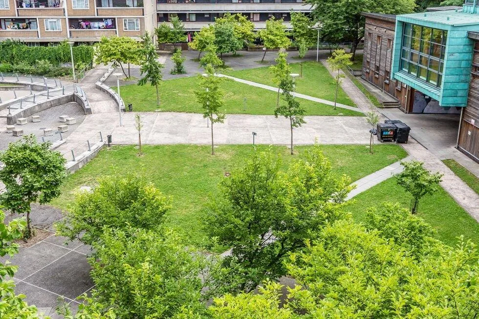3 bedroom flat for rent