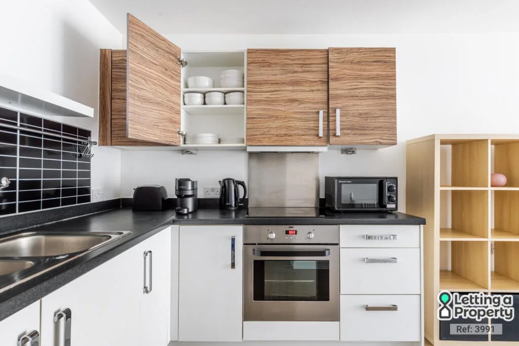 1 bedroom apartment for rent