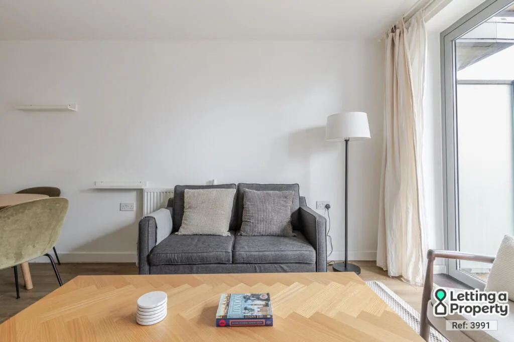 1 bedroom apartment for rent