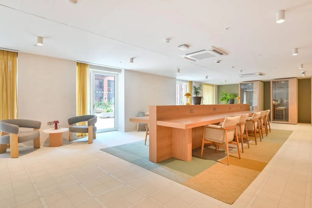 1 bedroom apartment for rent