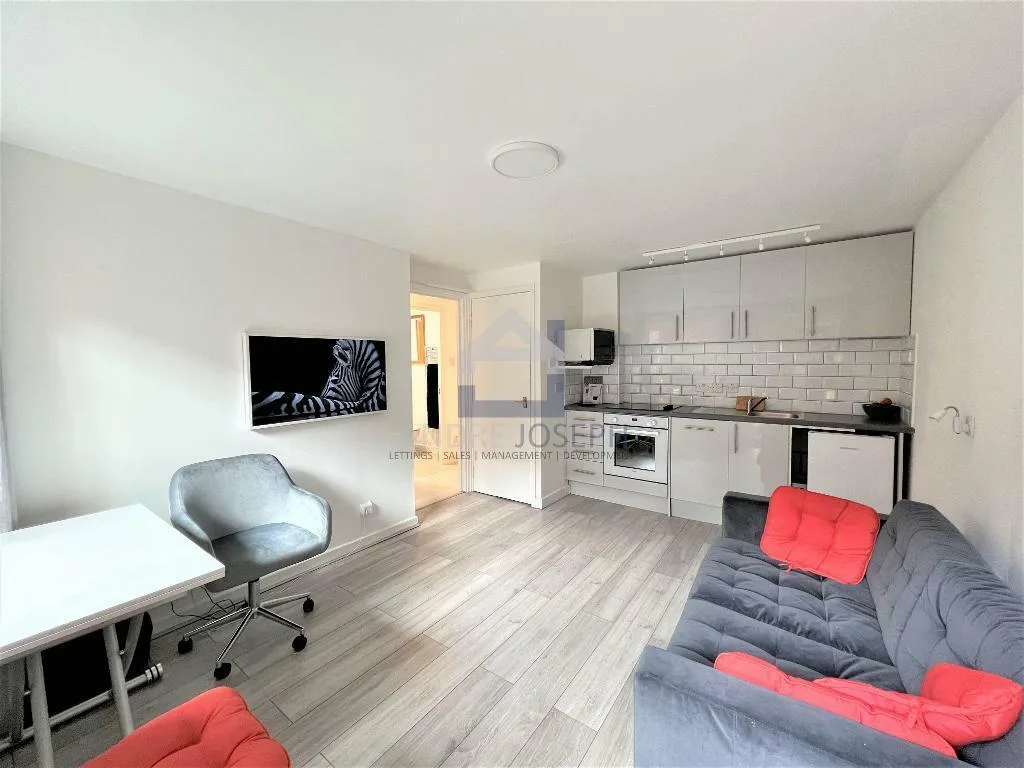 1 bedroom flat for rent