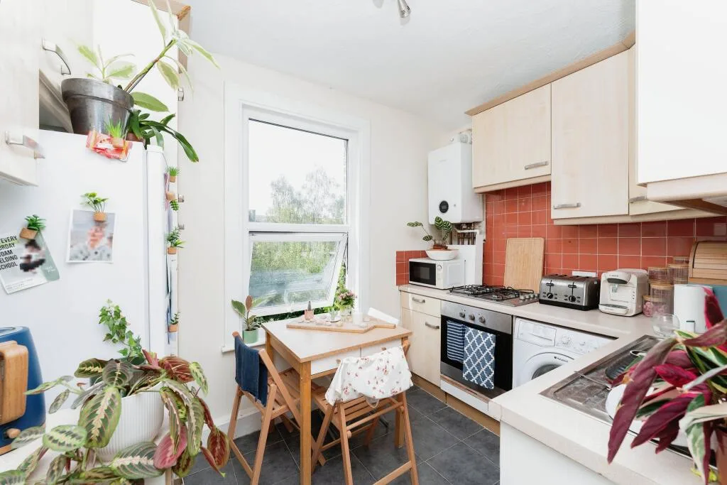 1 bedroom flat for rent