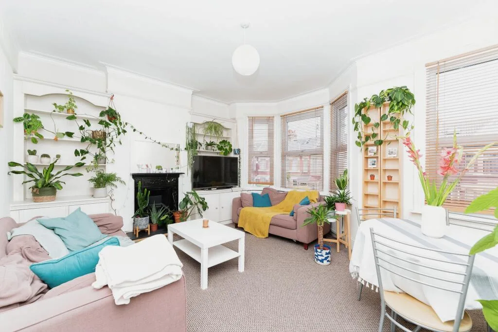 1 bedroom flat for rent