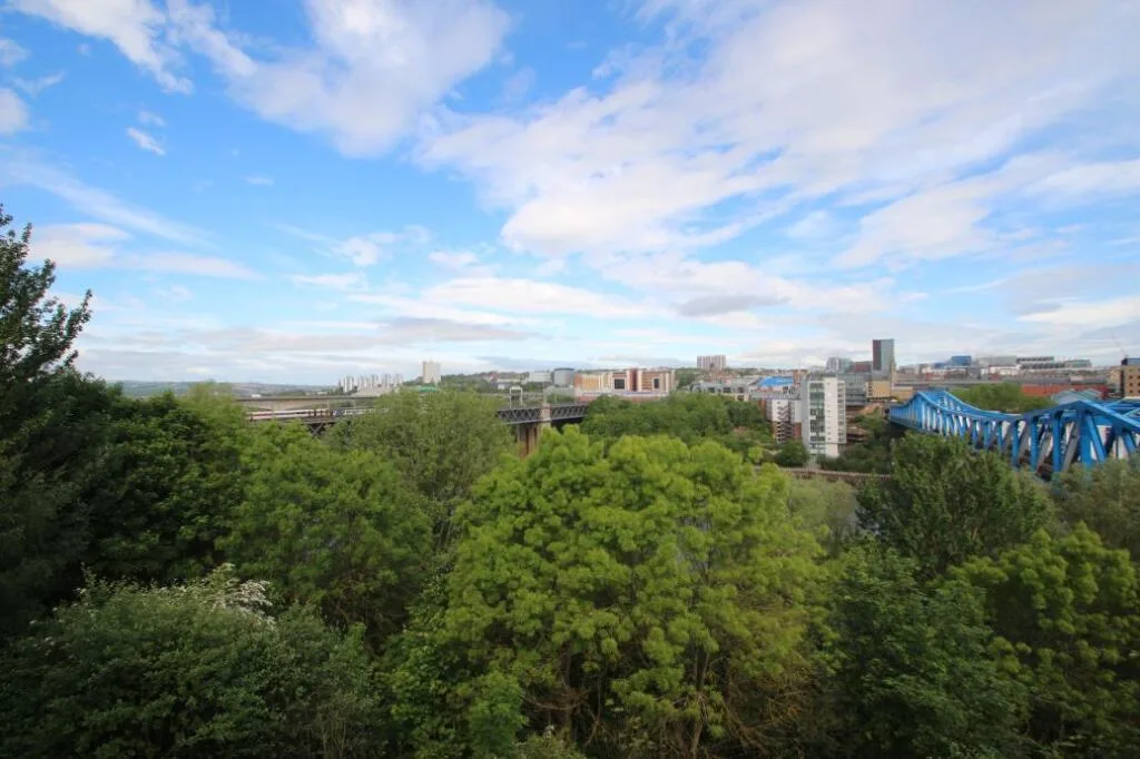 2 bedroom penthouse for rent