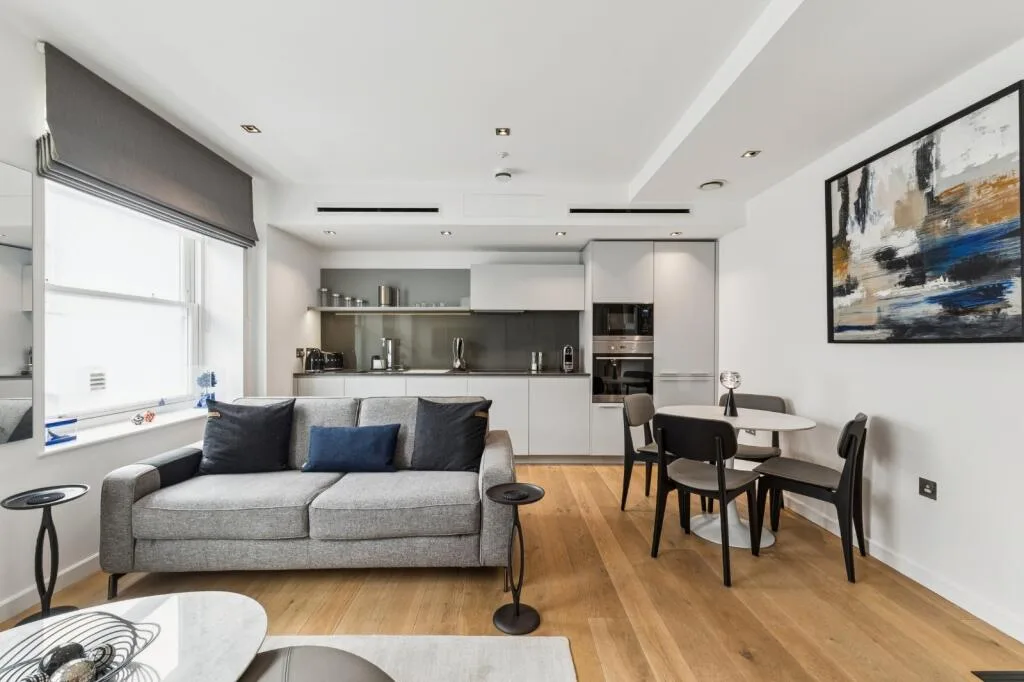 1 bedroom apartment for rent