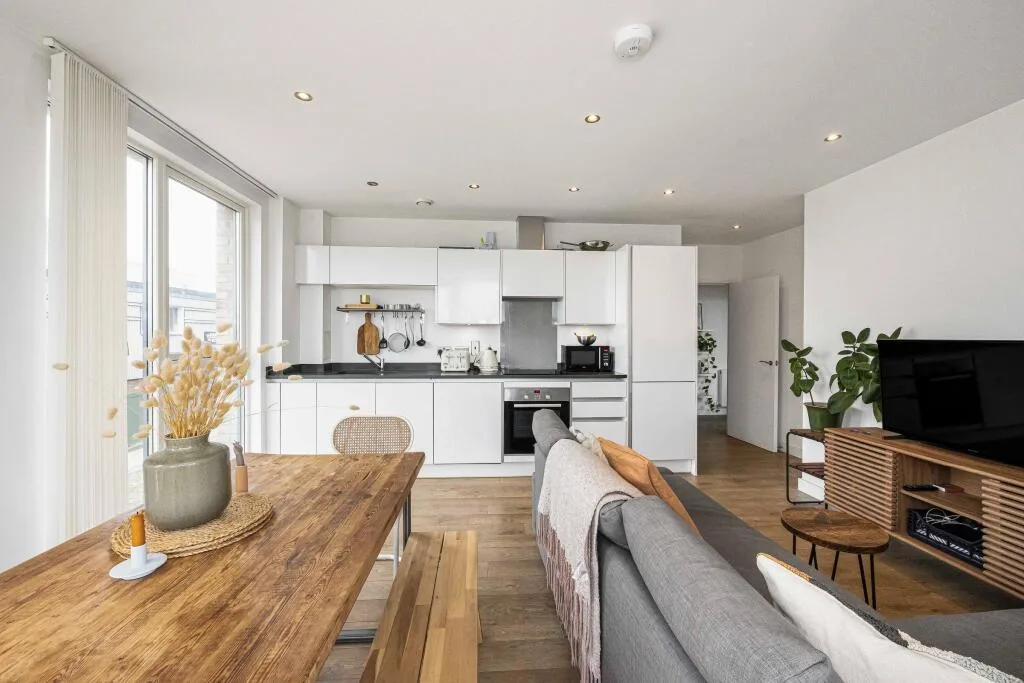 1 bedroom apartment for rent