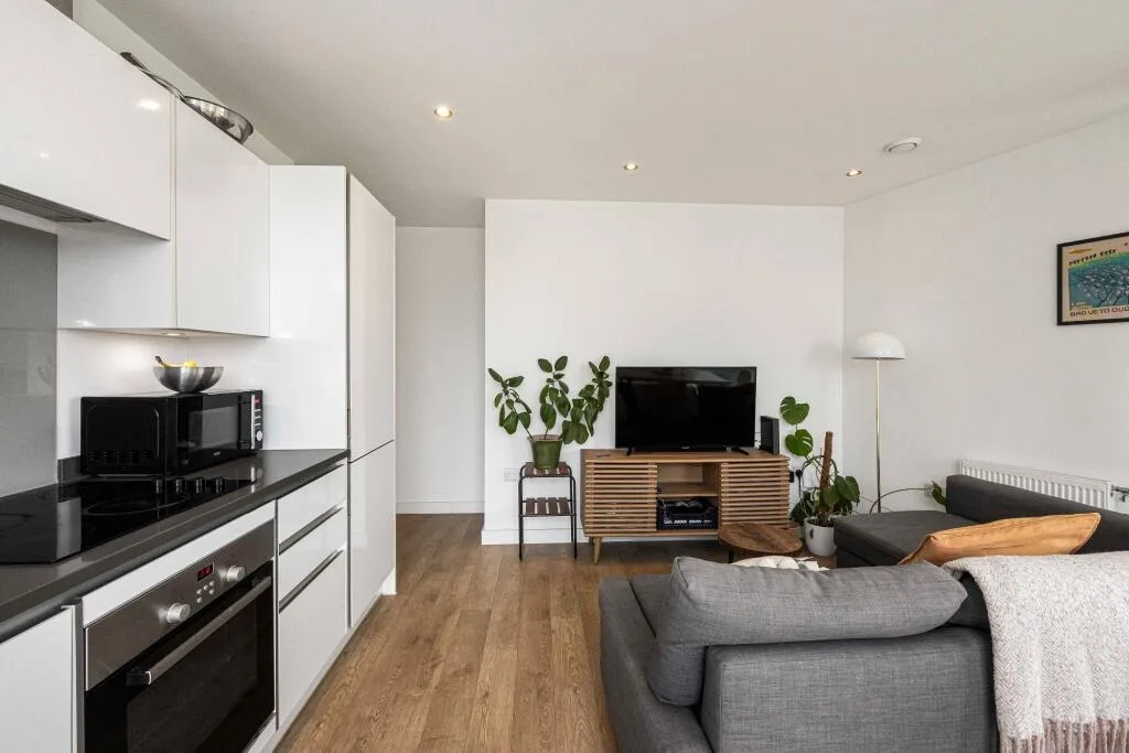 1 bedroom apartment for rent