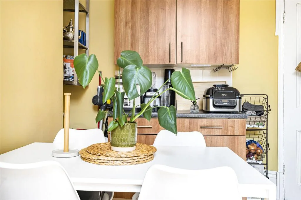 Studio apartment for rent