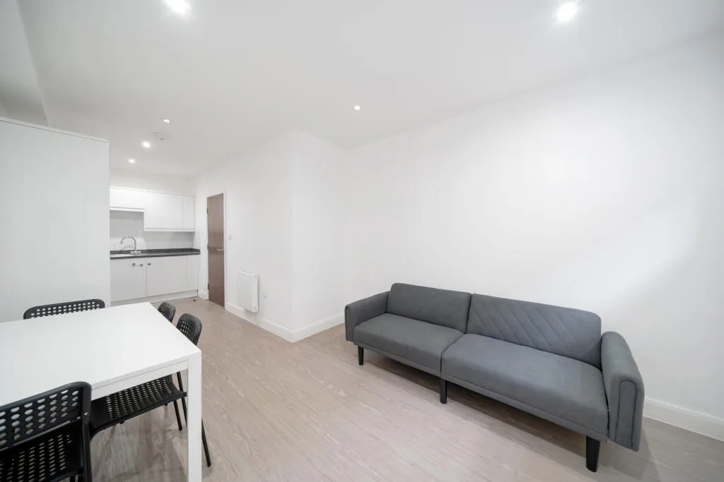 1 bedroom apartment for rent