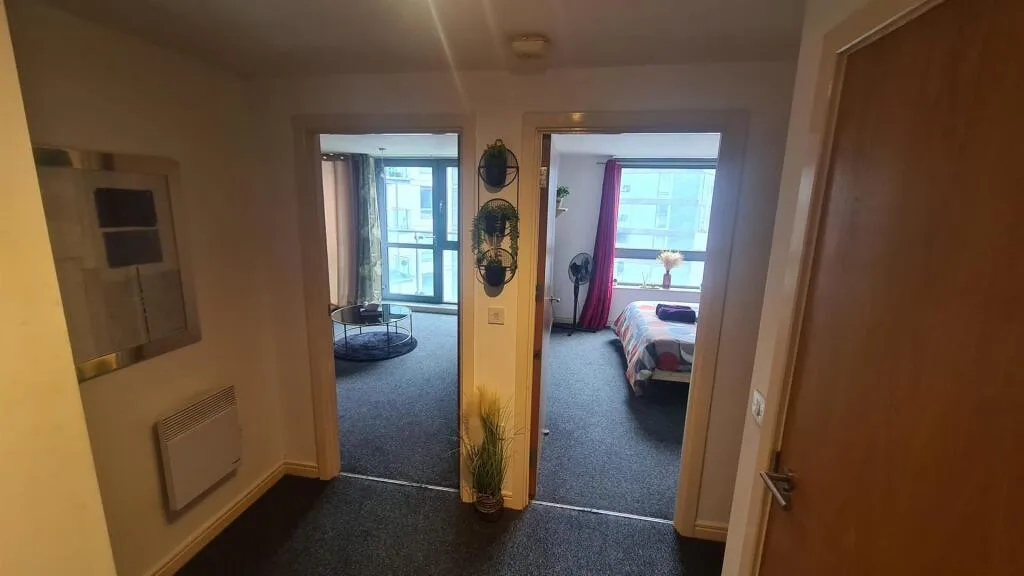 1 bedroom apartment for rent