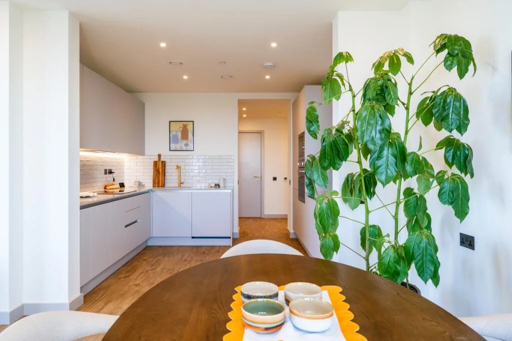2 bedroom apartment for rent
