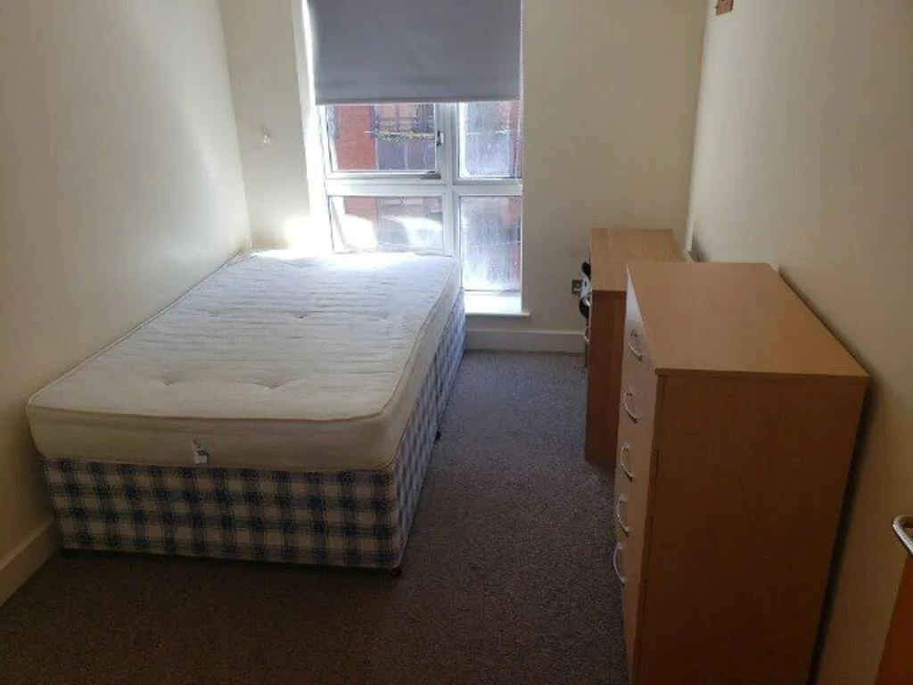 2 bedroom house for rent