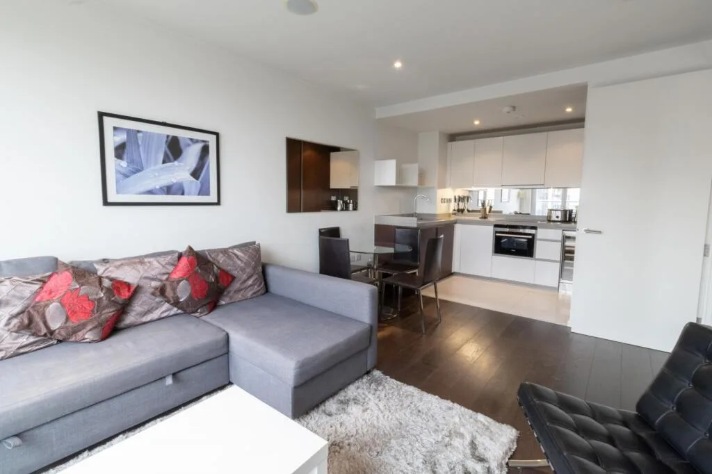1 bedroom apartment for rent